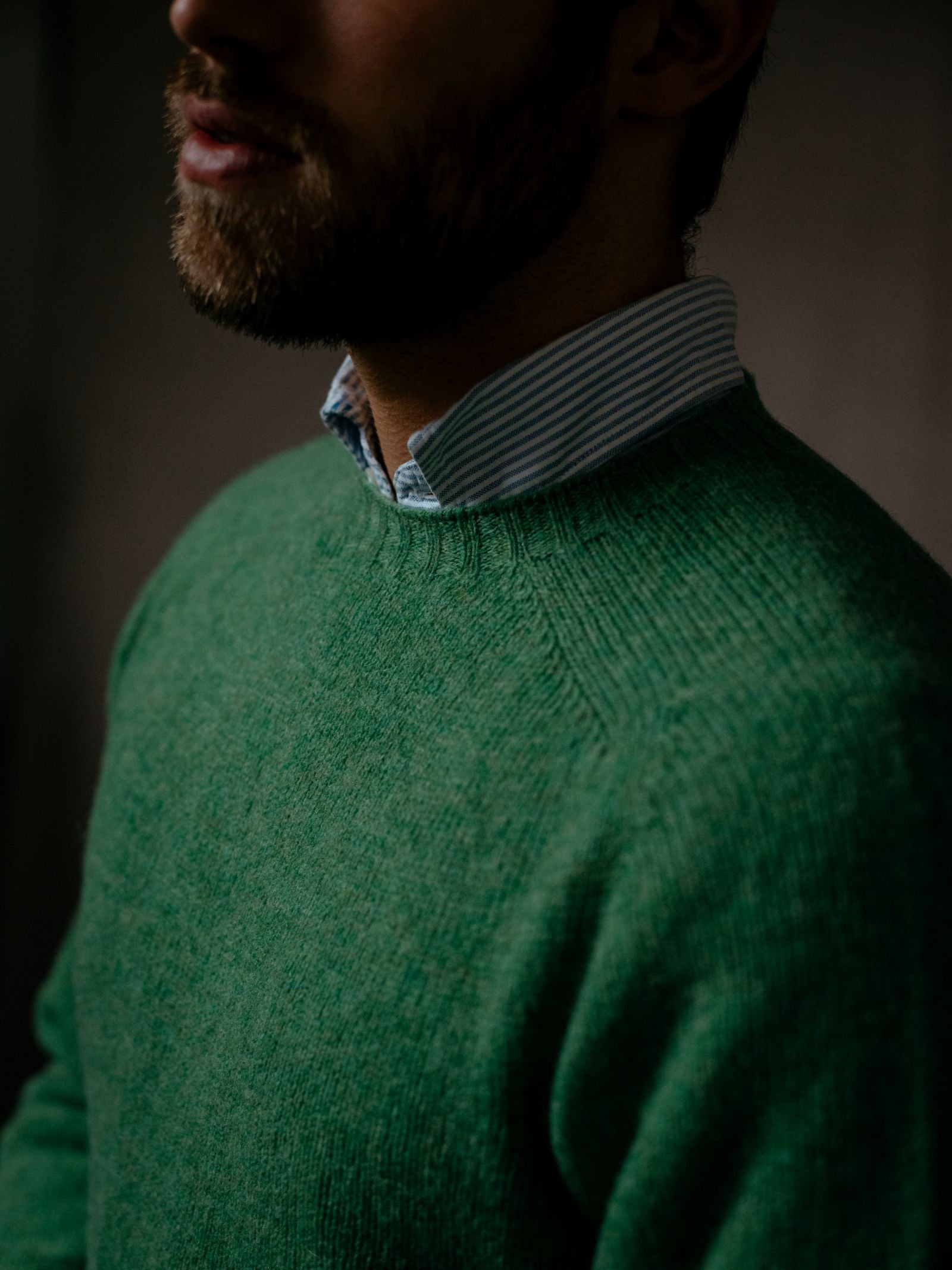 A bearded person wears a green Campbells of Beauly Shetland Jumper over a blue-and-white striped collared shirt, shown from the shoulders up with their face partially in shadow, evoking heritage-inspired colourways.