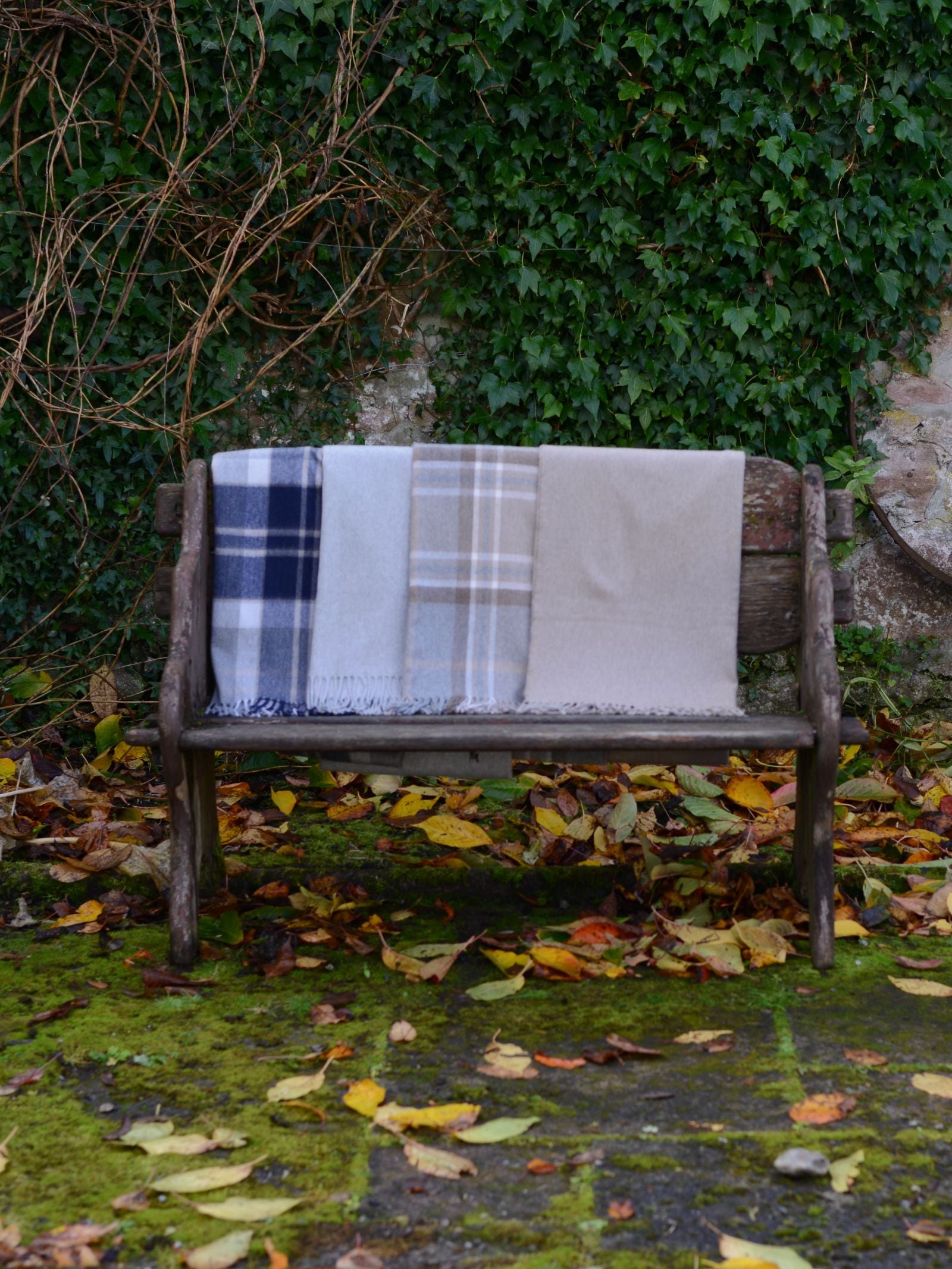 A rustic wooden bench outdoors holds three folded blankets, one being the Campbell’s of Beauly Cashmere Stole draped over the backrest. Fallen leaves and moss cover the ground, with ivy in the background.