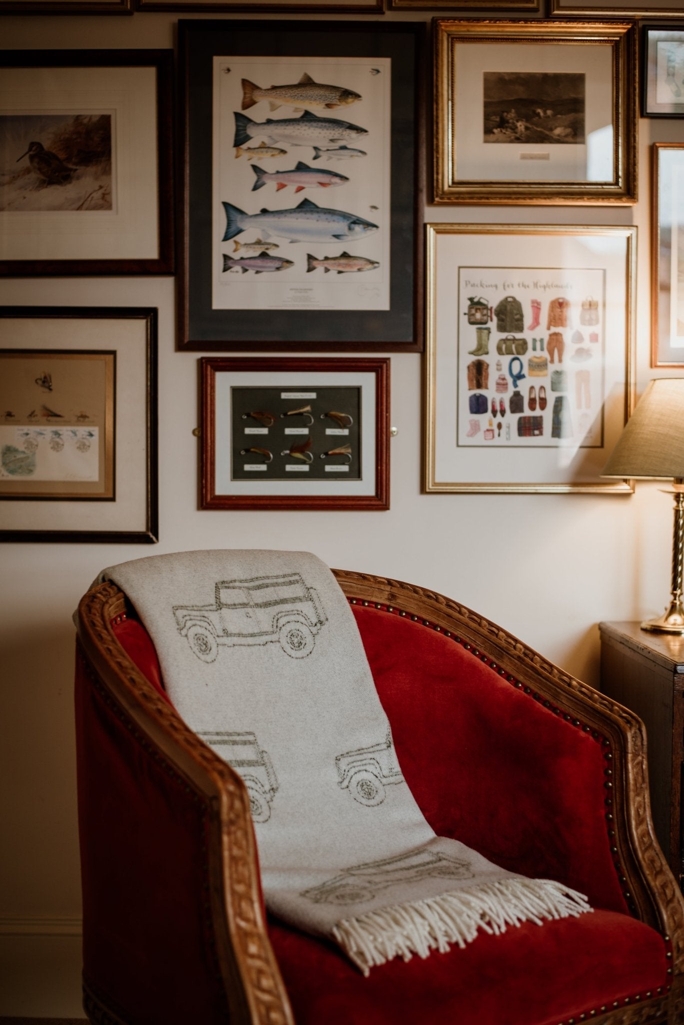 A red velvet armchair draped with the Campbell's of Beauly Land Rover Defender Jacquard Throw sits by a lamp and a wall of framed art featuring fish illustrations and nature prints.