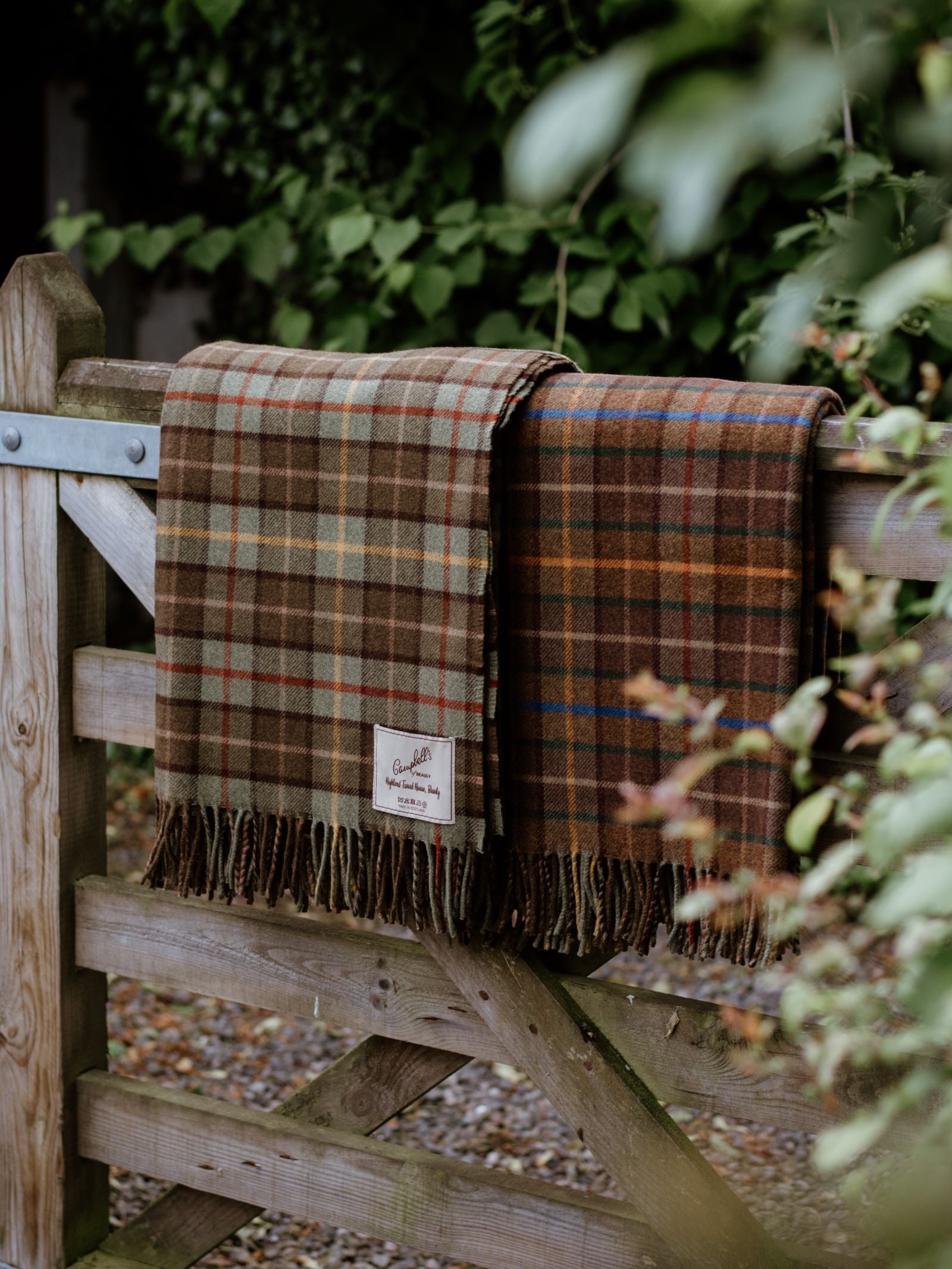 Two Campbells of Beauly Lavender Throws, crafted from soft lambswool in earthy brown and green checks—one with red and yellow Scottish Borders accents—are draped over a wooden gate outdoors amid lush foliage.