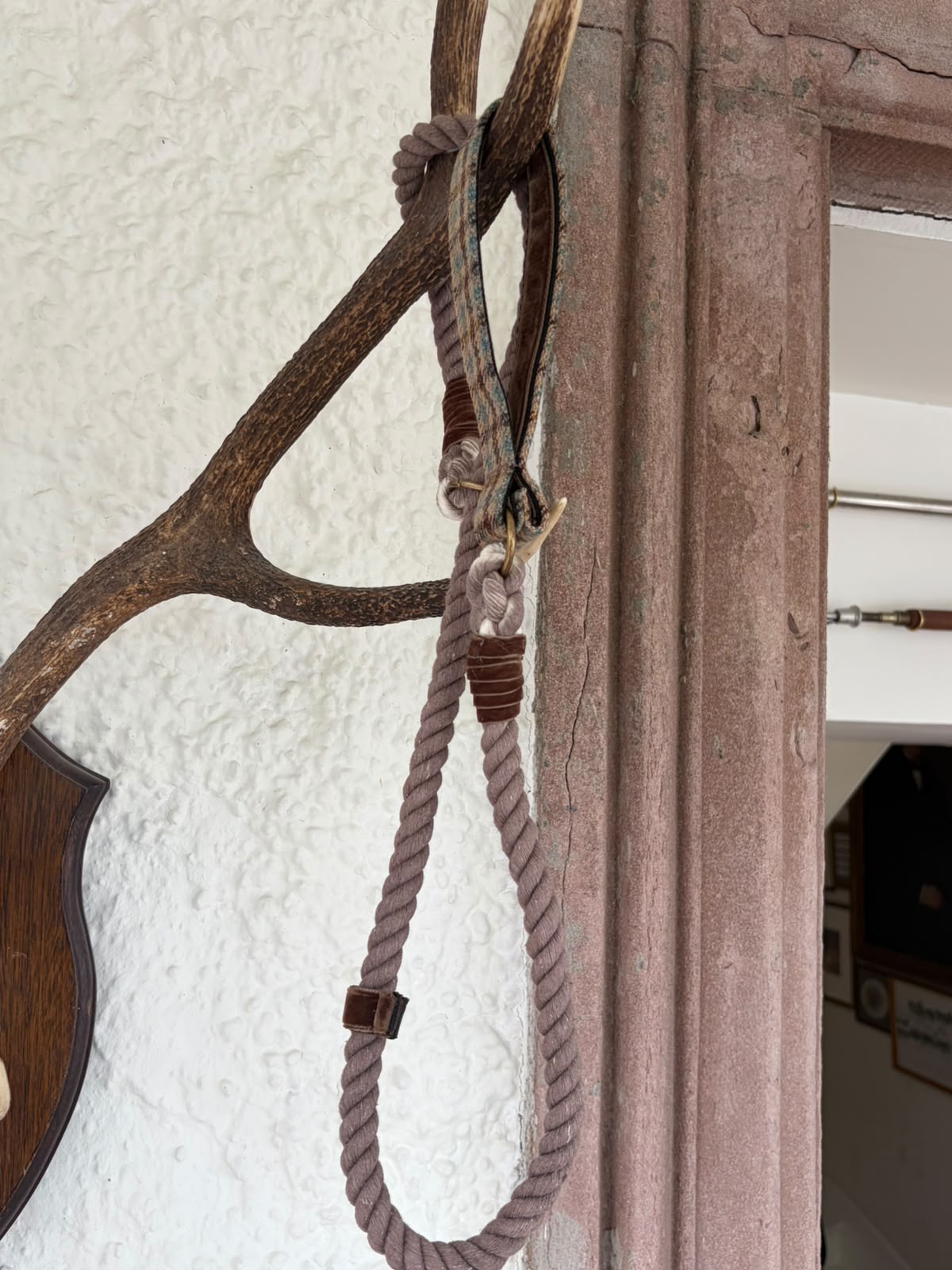 A House Tweed Slip Lead by Campbell's of Beauly, featuring a brown rope with a loop, hangs from a mounted antler on a textured white wall near a door frame.