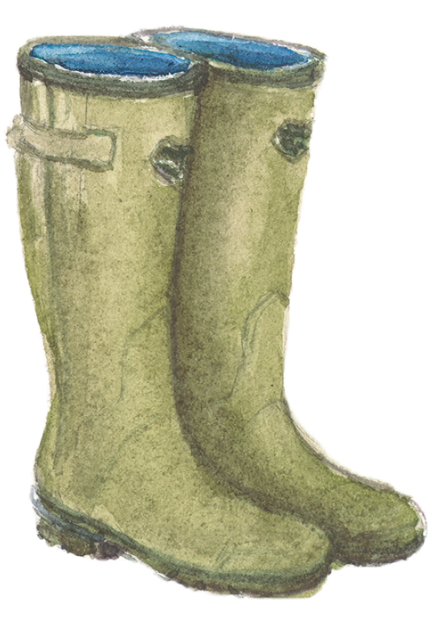 A watercolor illustration of a pair of green rubber rain boots with blue interiors, standing upright side by side.
