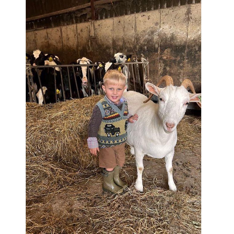 A young boy wears the Campbells of Beauly Mini Land Rover Defender Fairisle Slipover, paired with boots, as he stands by a white goat in a barn with cows behind a metal fence and hay on the ground.