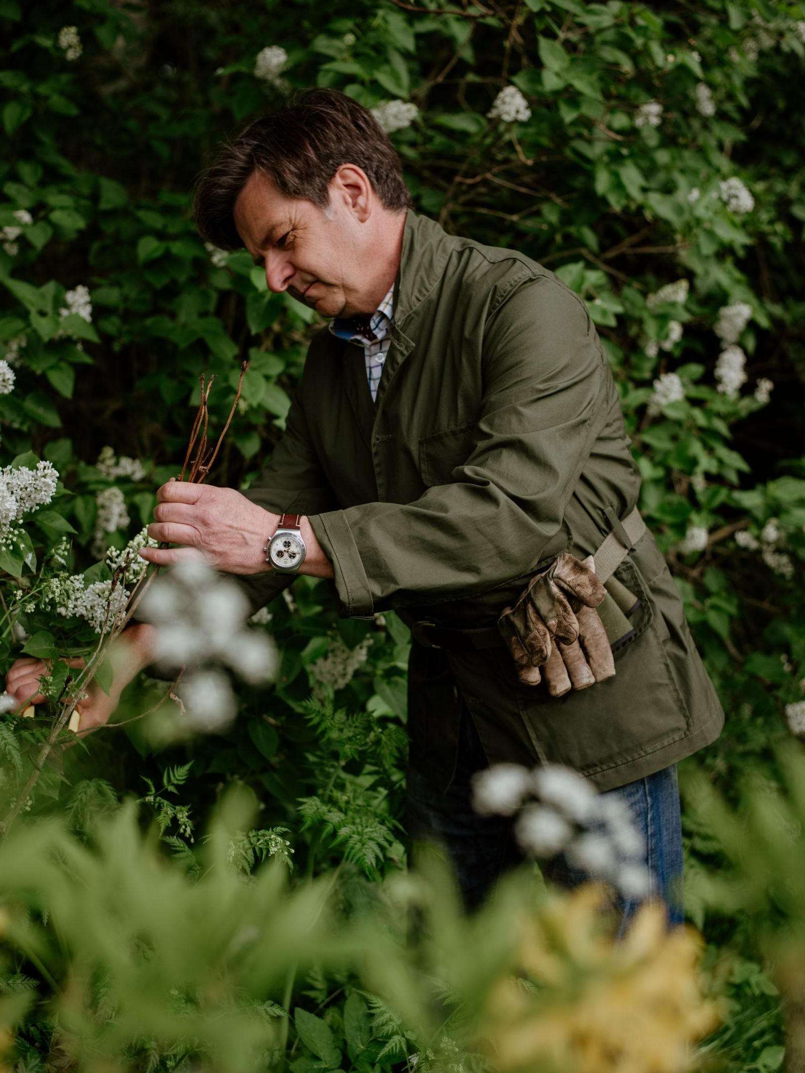 Wearing a Campbells of Beauly Gardeners Chore Jacket, a man trims plants amid lush greenery and clusters of small white flowers. Gardening gloves are tucked in his belt as he works with pruning shears, fully focused on his gardening.