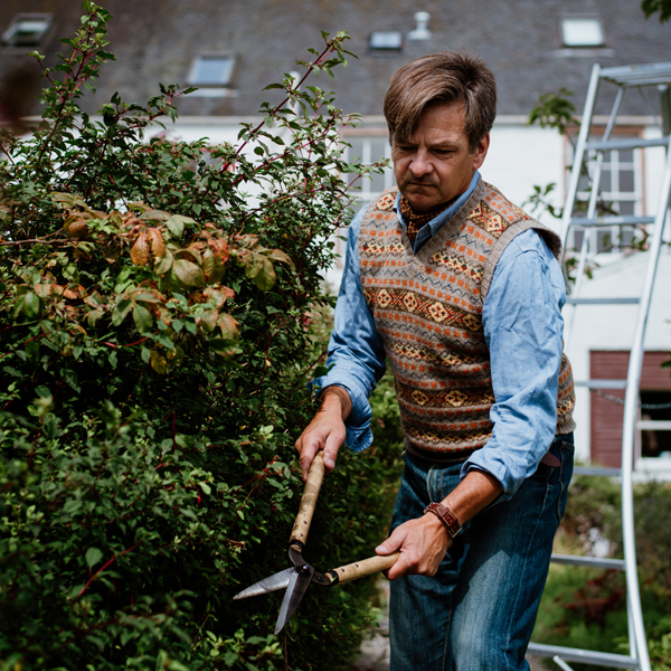 A man wearing a patterned Campbells of Beauly sweater vest uses garden shears to trim a bush in a backyard garden, with a ladder and a house visible in the background.