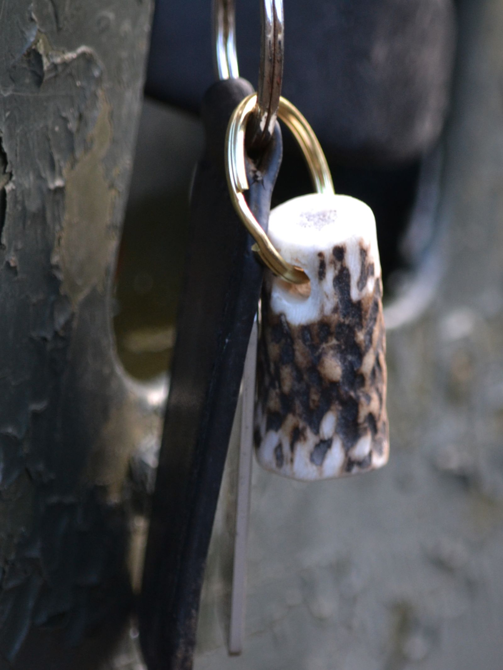 A close-up of Campbell's of Beauly Antler Keyring, featuring a black key and a handmade deer antler ring with a mottled brown and white pattern, set against a dark metal background that highlights this unique accessory.
