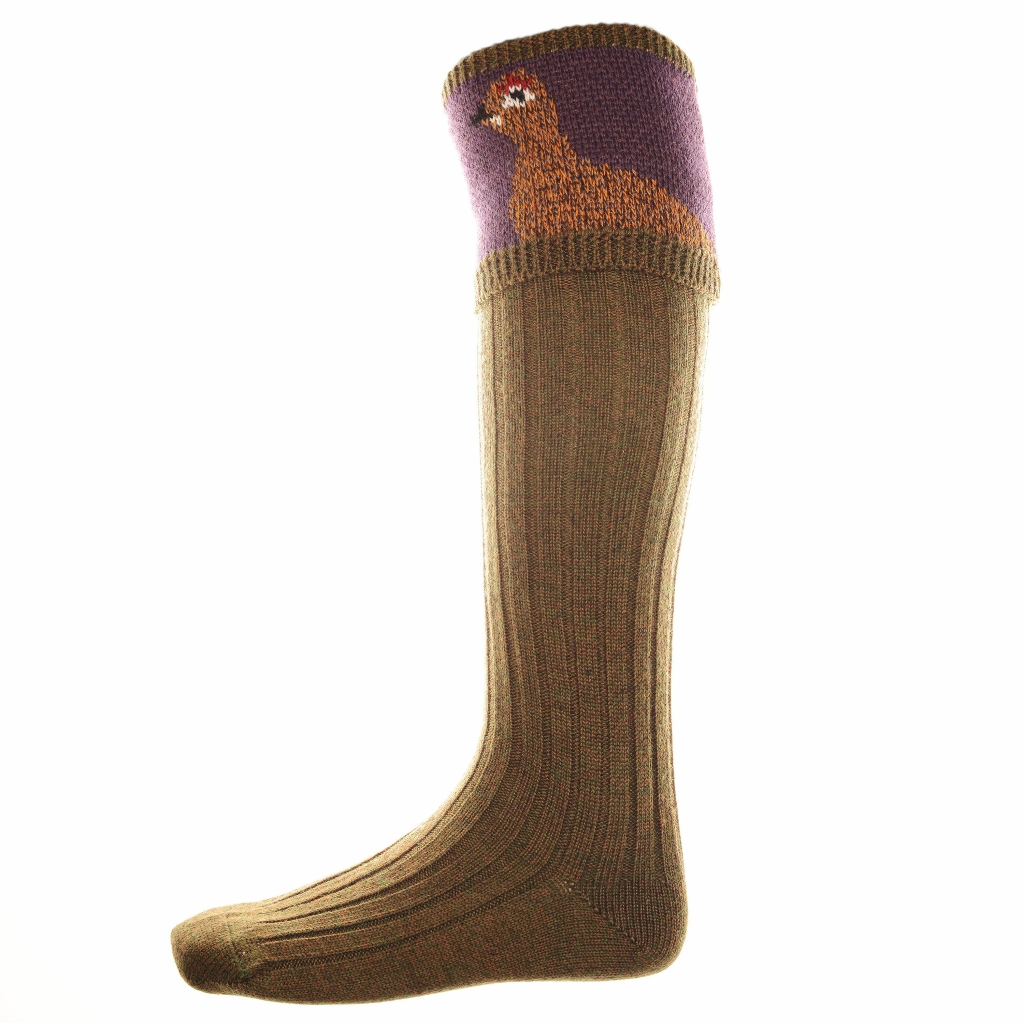 A single Campbells of Beauly Merino Grouse Shooting Sock in bracken, knee-high and ribbed, with a purple band at the top and a knitted brown dog’s head design.
