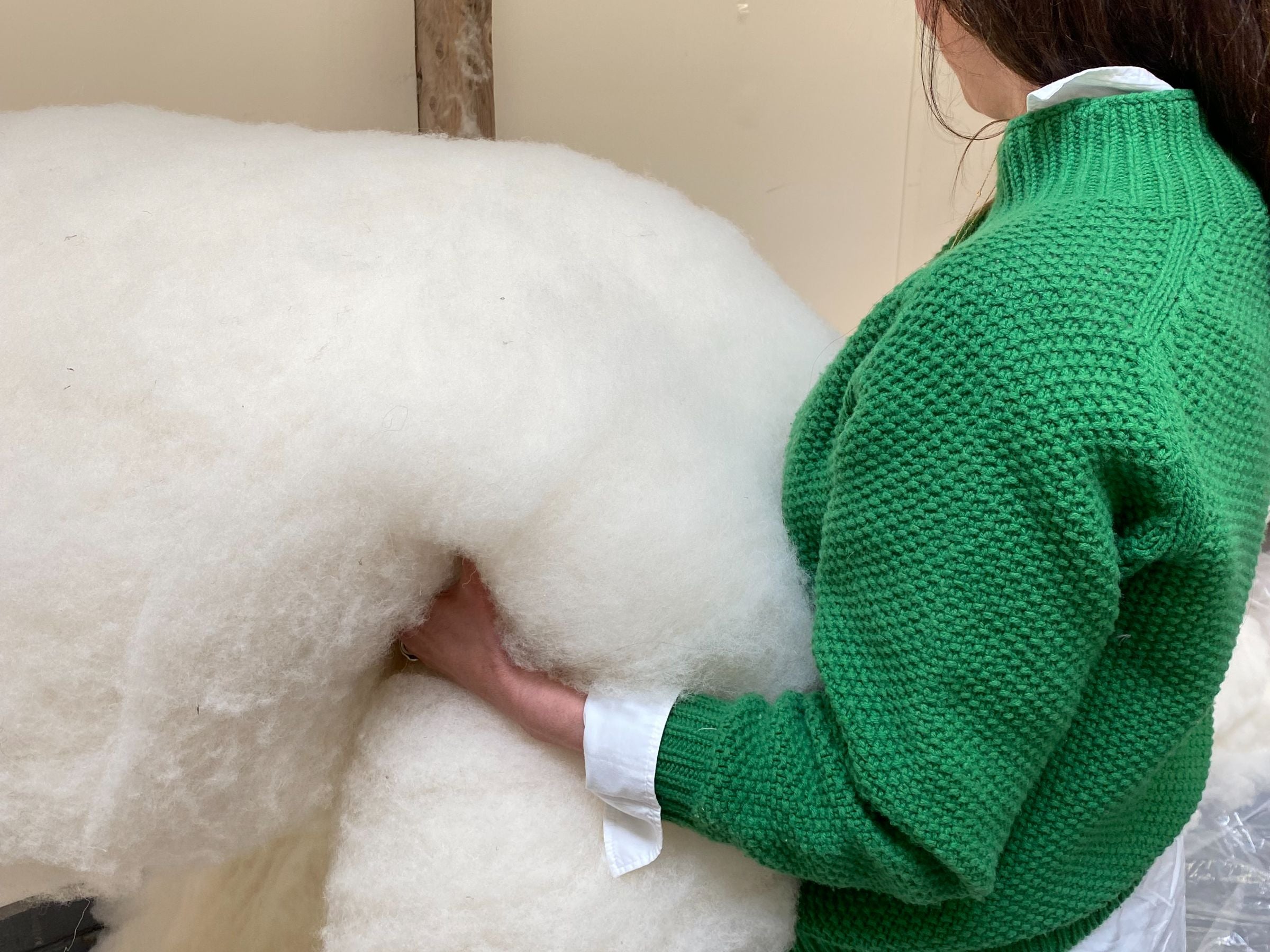 A person in a green knitted sweater holds a large, fluffy piece of white wool. Only the persons torso and part of their face are visible.