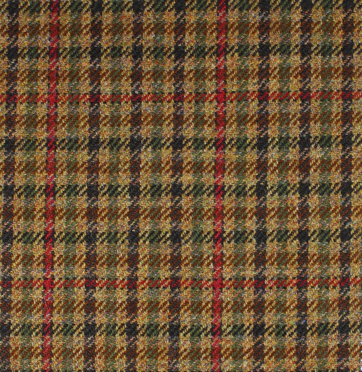 Field Tweed 094 Scottish tweed wool fabric in green, gold, and black with a thin red windowpane pattern.