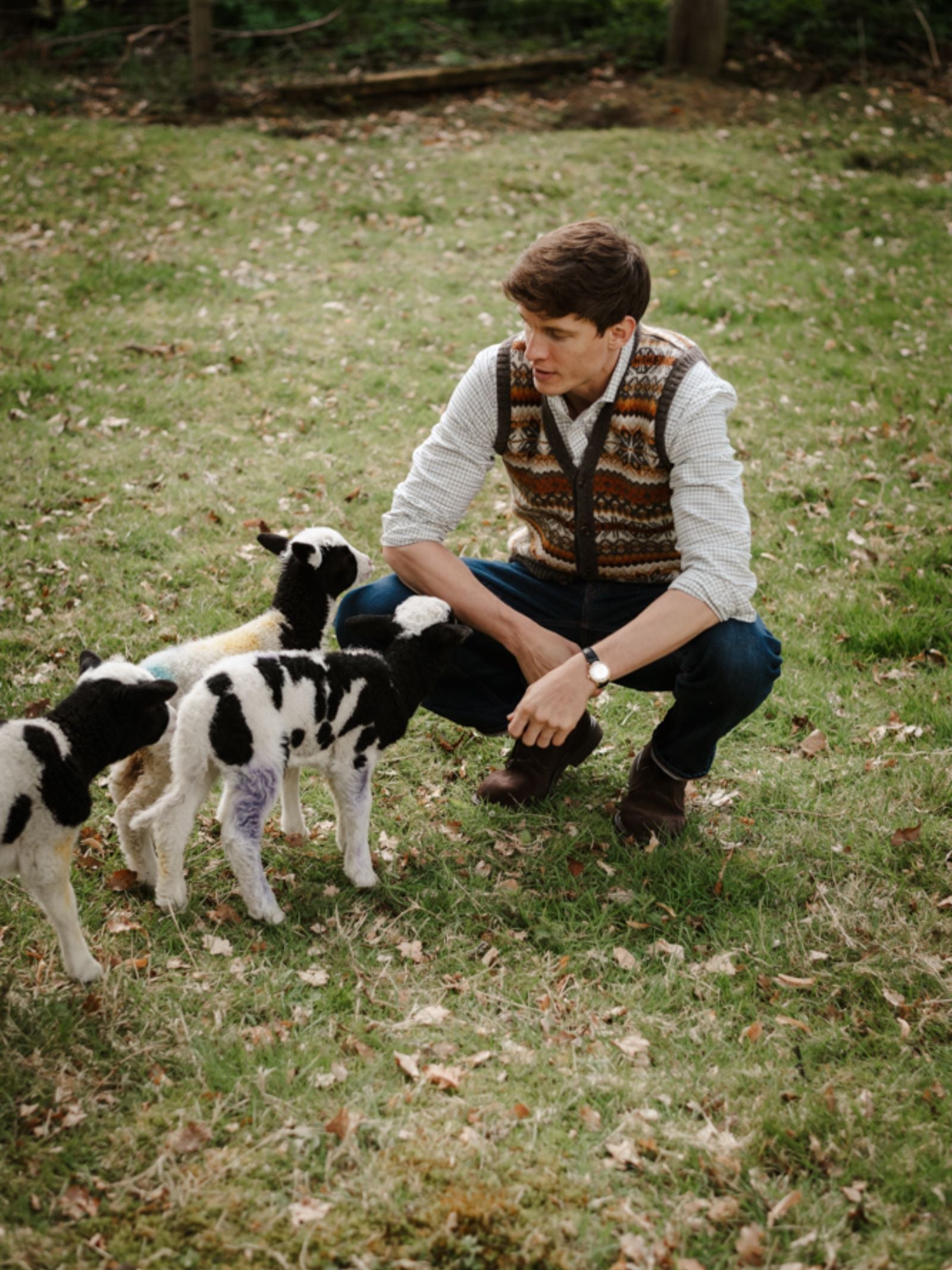 A man in a Campbell's of Beauly Fairisle V-Neck Waistcoat crouches on grass, engaging with three black-and-white lambs inside a fenced outdoor area.